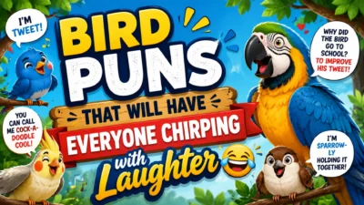 Bird puns illustration featuring colorful cartoon birds laughing with playful comic-style text on a bright nature background.