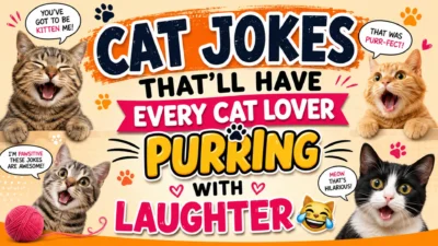 Four happy cats surrounding the title "Cat Jokes That'll Have Every Cat Lover Purring with Laughter" with colorful speech bubbles and funny cat puns on a bright cartoon-style background.